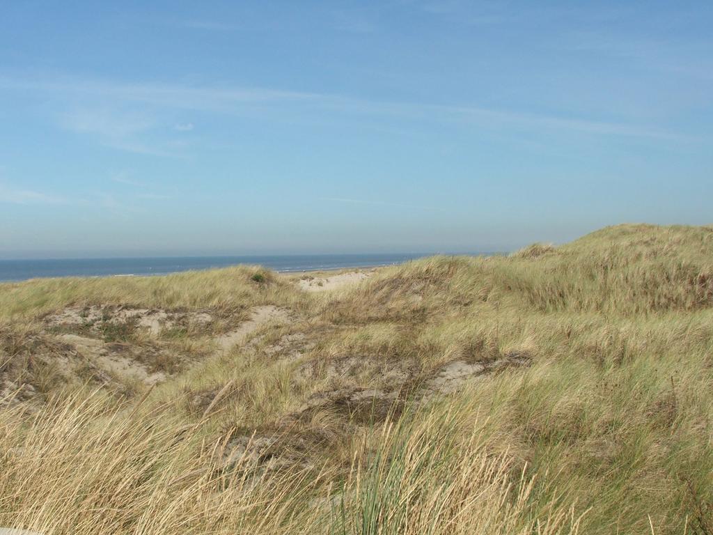 Huize De Weijde Blick Apartment Wijk aan Zee Exterior photo